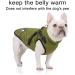 Luowan Waterproof Dog Coat for French Bulldogs | Warm Vest & Dog Jacket for Small Dogs (S Green) - Multi-Sizes Available - Buy Online on SooperMarket.com