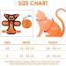 Breakproof Cat Leash Set & Adjustable Soft Kitten Vest - Reflective Stripes | Orange Small Dishes for Kittens - Buy Online on SooperMarket.com