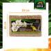 Buy Terra Exotica Sphagnum Moss (3x1 Kg) - Premium Peat Moss for Garden Houseplants & Terrariums - International Shipping Available - Buy Online on SooperMarket.com