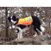 SafetyPUP XD - Reflective Dog Vest | Hi-Visibility Blaze Orange Vest for Medium Dogs | Protect Your Pup from Accidents - Buy Online on SooperMarket.com