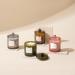 La Jolie Muse Damascen Rose Fragrance Candle - 75 Hours of Aromatic Bliss Natural Wax & Floral Aroma - Perfect Gift for Women - 285g Rose Noir & Oud - Buy Online on SooperMarket.com