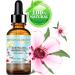 Buy 100% Pure Manuka Oil - Cold Pressed Virgin Carrier Oil for Skin Hair & Nails - 0.5 Fl. oz by Botanical Beauty - Buy Online on SooperMarket.com
