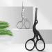 TEMKIN Nose Hair Trimmer - Stainless Steel Manual Scissors for Safe Hair Removal | Small & Efficient Trimming Tool (Black - Buy Online on SooperMarket.com