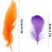 Coceca 300pcs Colorful Feathers for DIY Craft, Wedding, and Party Decor - Buy Online on SooperMarket.com