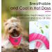 ThinkPet No-Pull Dog Harness & Leash Set | Breathable Adjustable Safety Harness for Small Medium & Large Dogs | Reflective & Padded Control Harness (Pink/Red) - Buy Online on SooperMarket.com