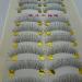 40 Pairs Natural Look Taiwan Handmade Fake False Eyelashes Eye Lashes Transparent Stem 217 Classical Eyelashes - MZZH14001