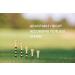 Zivisk Bamboo Golf Tees 100 Count - Strong, Sustainable, Biodegradable - 2-3/4 or 3-1/4 Long - Black & Stripe Design - Buy Online on SooperMarket.com