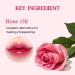 CLIO Crystal Glam Tint 006 Daily Mauve - Glossy Lightweight Long-Lasting Lip Tint for Hydration & Shine - Buy Online on SooperMarket.com