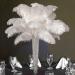 Shekyeon 12-14inch(30-35cm) Ostrich Feathers Plumes for Wedding Centerpieces Pack of 10(White)