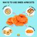 Amrita No Sugar Added Dried Apricots - 1lb, 11 Servings | Healthy Snack - Buy Online on SooperMarket.com