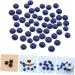 Alipis 150 Pcs Simulation Blueberry Realistic Berry Fake Blueberries Decor Blueberries Photo Prop Fake Blueberry Lifelike Fruits Model Miniature Blueberry Scrapbook Fake Fruit Resin - Buy Online on SooperMarket.com