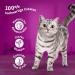 Whiskas 1+ Classic Selection in Sauce - 84x85g High-Quality Wet Food for Adult Cats - Large Pack - Buy Online on SooperMarket.com