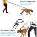 Philorn Hands Free Dog Lead with Phone Pouch - Running/Jogging Leash, Shock Absorbing Bungee, Reflective Stitching, Blue - Buy Online on SooperMarket.com