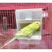 Hypeety Automatic Bird Feeder: No Mess Seed Food Container for Budgerigar, Canary, Cockatiel, Finch, Parakeet - Cage Accessories - Buy Online on SooperMarket.com