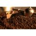 Ethiopian Sidamo Medium Roast Coffee Beans 1kg pack - Buy Online on SooperMarket.com