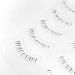 DAODER Natural Bottom Lashes - 5 Pairs Wispy Lower False Eyelashes (6mm) - Clear Band, Daring Style - Buy Online on SooperMarket.com