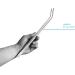 VORESTIC Aquarium Tweezers Set 27cm Insect Tweezers Aquascaping and Terrarium Tools Curved and straight tweezers set 27 cm - Buy Online on SooperMarket.com