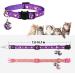 2PCS Glow in The Dark Breakaway Cat Collars with Bell - Adjustable Kitten Collars in Purple+Pink - Buy Online on SooperMarket.com