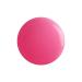 99nails Color Gel Matt - Pink (5 ml) | Premium Nail Gel for Long-Lasting Manicures | Buy Online Worldwide - Buy Online on SooperMarket.com