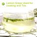 Buy PlantGift Dried Lemongrass Tea Figs - Premium Quality International Shipping - Buy Online on SooperMarket.com