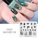 Nail Art Stamping Plate NA018 | Nature Branch & Coconut Tree Design | DIY Nail Polish Tool | International Shipping Available - Buy Online on SooperMarket.com