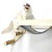 HeyKitten Stud Mounted Suspension Cat Hammock and Floating Climbing Stairs Combo, for Cat Lounging, Napping, Sleeping, Playing, Climbing, and Jumping Hammock/Lader Combo
