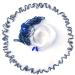 Drasry Saltwater Fishing Cast Net for Bait Trap Fish Throw Net. Size 4ft/5ft/6ft/7ft/8ft Radius Freshwater Nets Monofilament Lines Cast Net(3/8 Inch Mesh) 6FT(180cm) Radius