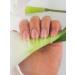 Acrylic Nail French Manicure Kit Nail Acrylic Powder Collection Set of 3 Colors -Pink Clear white Powder Builder Professional Acrylic Nail System (Peach Clear White) - Buy Online on SooperMarket.com