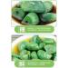 Laba Garlic 250/500g Shandong specialty authentic emerald green garlic green garlic sugar garlic sweet and sour garlic delicious snacks Vegetables and fruits (500g 3bags) 500g 3bags - Buy Online on SooperMarket.com