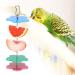 Fruit Holder for Parrots - Spit Fruit & Vegetable Skewers for Birds | Ideal for Budgies Nymphs & More - Buy Online on SooperMarket.com