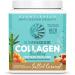 Sunwarrior Collagen Building Protein Peptides with Hyaluronic Acid and Biotin Salted Caramel 17.6 oz (500 g) - Buy Online on SooperMarket.com