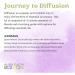 Aura Cacia Journey To Diffusion Kit - 4 Essential Oils (0.25 fl oz each) | Aromatherapy Starter Set - Buy Online on SooperMarket.com