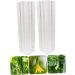 BCOATH 2pcs Vegetable Shaping Fruit Vegetable Forming Mould Kit Watermelon Picking Garden - Buy Online on SooperMarket.com