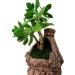 Topcomww Artificial Green Moss for Plant Crafts & Flower Centerpieces - 3.5oz - Buy Online on SooperMarket.com