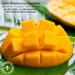 GERBS Dried Mango Cubes 2 LBS - Sweet & Allergy-Free | Vitamin B Boost | Gluten & Peanut Free - Buy Online on SooperMarket.com