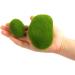 CCINEE 34pcs Artificial Moss Rocks - Perfect for Floral Arrangements, Fairy Gardens, and Crafting - Buy Online on SooperMarket.com