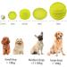 Laroo Dog Toys - Durable Natural Rubber Squeaker Football for Small & Large Dogs (6.5cm Green) - International Shipping Available - Buy Online on SooperMarket.com