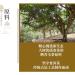 Pu-erh tea 2016 brown 357g Raw - Buy Online on SooperMarket.com