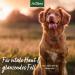 Aniforte Fellharmonie Dog Shampoo 200ml - Coconut Oil & Aloe Vera for Healthy Skin Glossy Fur and Easy Combability - Natural Care for Dogs - Buy Online on SooperMarket.com
