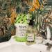 Miniml Hand Soap Wash Liquid 1L Refill - Cucumber & Aloe Vera Infused Eco Friendly Hand Washing Liquid Gel for Soft and Sensitive Skin Care - 100% Vegan & Cruelty Free - Buy Online on SooperMarket.com