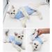 Cat Professional Surgical Recovery Suit Cat Clothes for Abdominal Wounds or Skin Diseases (M Blue) 1.36 kg (Pack of 1) Blue - Buy Online on SooperMarket.com