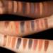 Buy HUDA BEAUTY Empowered Eyeshadow Palette - International Shipping | Shop Now - Buy Online on SooperMarket.com