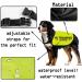 In Training Ignore Dog Jacket Vest Dog In Training Nervous Anxious Dog Slogan Warning Vest (TRAINING IGNORE Large) TRAINING IGNORE L EU - Buy Online on SooperMarket.com