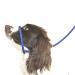 Dog & Field Figure 8 Anti Pull Lead / Halter / Head Collar (BLUE) - One Size Fits All - Super Soft Braided Nylon - Fitting Instructions Included - Comfortable Kind Supple Secure and Proven to Make Your Walks More Enjoyable - No More Pulling!