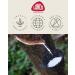 Buy Lanco Teething Ring Elephant Ears - 100% Natural Rubber White | Safe & Eco-Friendly | International Shipping Available - Buy Online on SooperMarket.com