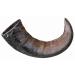 TX-27743 Buffalo Chewing Horn Large 1 piece (1 pack)