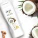 Dove Restoring Ritual Body Lotion 250ml - Buy 6 Pack | Intense Hydration | International Shipping - Buy Online on SooperMarket.com