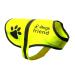 Dog Safety Yellow Reflective Vest With Leash Hole 5 Sizes - High Visibility for Outdoor Activity Day and Night Keep Your Dog Visible Safe From Cars & Hunting Accidents | By 4LegsFriend (X-Small) XS