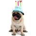 Cute Birthday Cake Hat for Pets with 5 Color Candles - Blue - Buy Online on SooperMarket.com