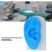 Flexible Silicone Ear Model for Hearing Amplifier Display - Professional Student Tool - Buy Online on SooperMarket.com